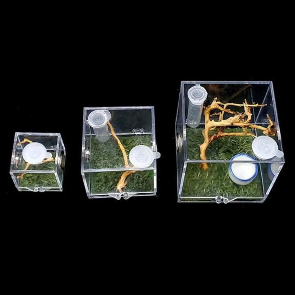 Jumping Spider Habitat Acrylic Breeding Box Cage for Spiders Small Insects