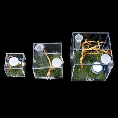 Jumping Spider Habitat Acrylic Breeding Box Cage for Spiders Small Insects