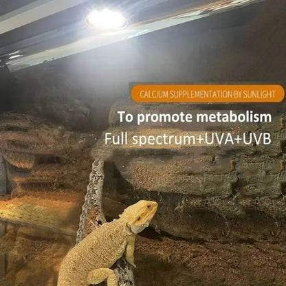 LED Reptile Light Bulb UVA UVB E27 Terrarium Lamp Full Spectrum 5.0/10.0 Lighting Small Pet Heating Bulb Therapy Night Vision