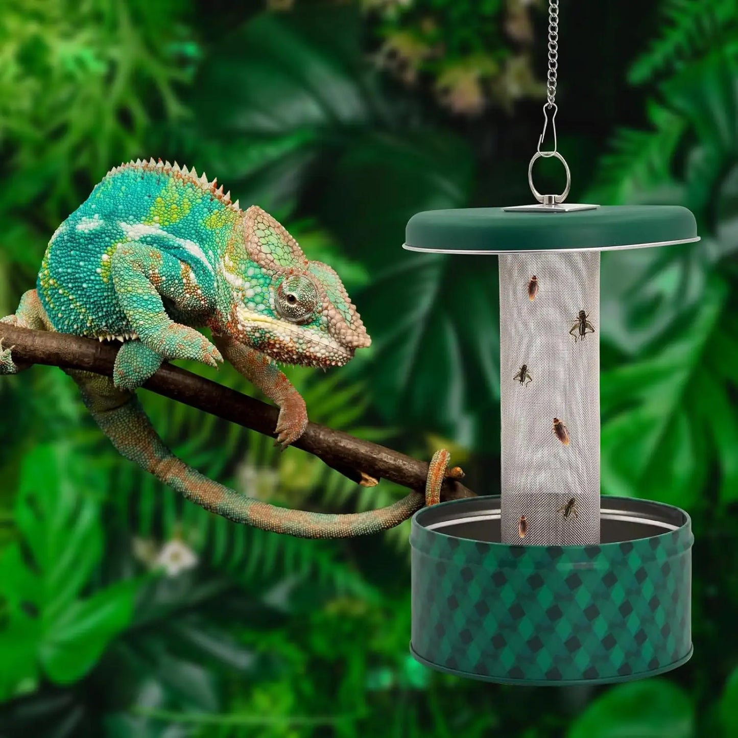 Bearded Dragon Feeder Chameleon Bug Bowl Reptile Feeder Box Wall-Mounted Insect with Suction Cups Tank and Aquarium Accessories
