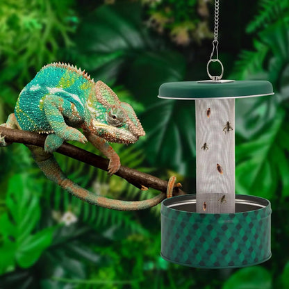 Bearded Dragon Feeder Chameleon Bug Bowl Reptile Feeder Box Wall-Mounted Insect with Suction Cups Tank and Aquarium Accessories