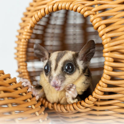 Sugar Glider Pouch Pet Glider Cage Sleep Bag for Small Animals Squirrels Marmosets Rats Hamsters Metal Frame PP Rattan Durable