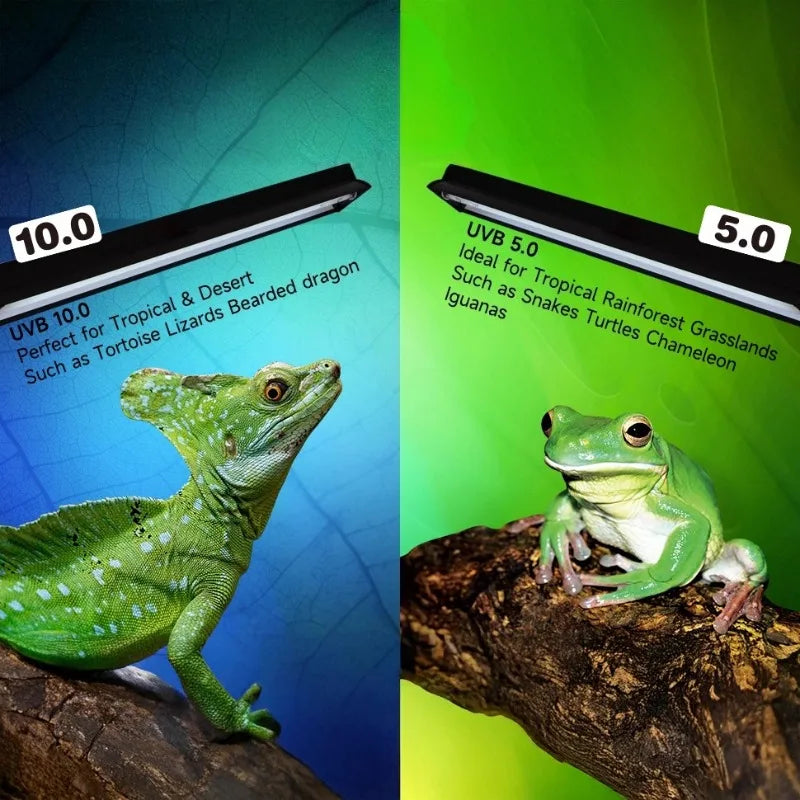 T8 UVB Lamp Set with Reflector,Basking Light for Tortoises&Bearded Dragons,T8 Light Stand 10.0 UVB Tube,Reptile Sun Lamp Kit