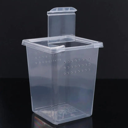 Reptile Accessories Transparent for Scorpion Spider Ants Lizard Living Box Hatching Tank Insect Feeding Box Reptile Habitat