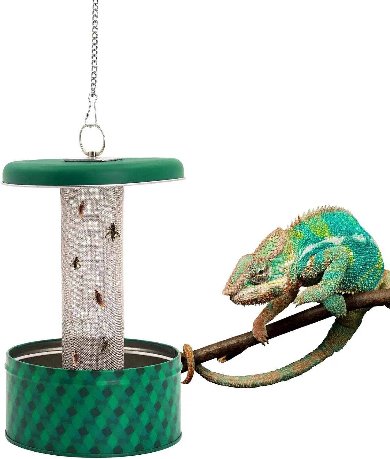 Bearded Dragon Feeder Chameleon Bug Bowl Reptile Feeder Box Wall-Mounted Insect with Suction Cups Tank and Aquarium Accessories