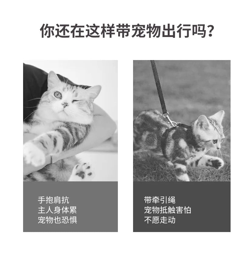 Shoulder Capsule Pet Bag, Go Out Portable Backpack, Cat Bag, Cat Supplies, Travel Bag, Carrier Space, Wholesale, New