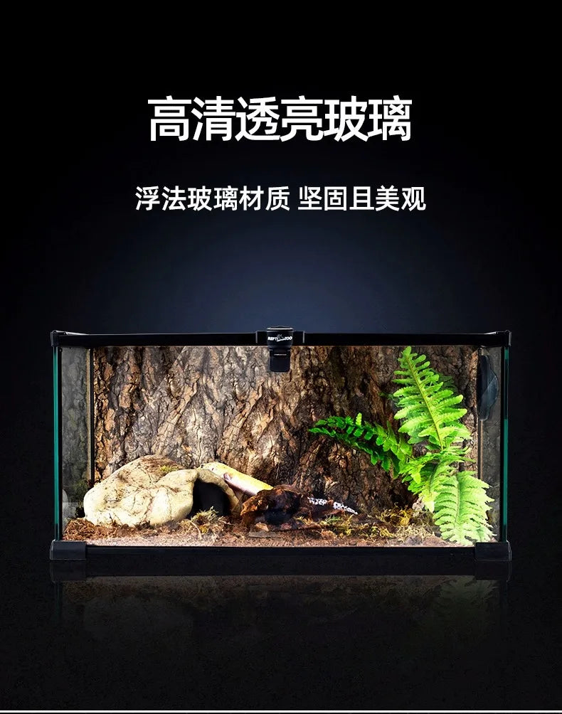 Rainforest Glass Terrarium for Reptiles Snake Tree Frog Bearded Dragon Lizard Gecko Spider Habitat Tank with Decorations