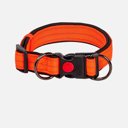 Reflective Padded Dog Collar Durable Strong Double D Ring Safety Nylon Pet Dog Collars Adjustable for Small Medium Large Dogs