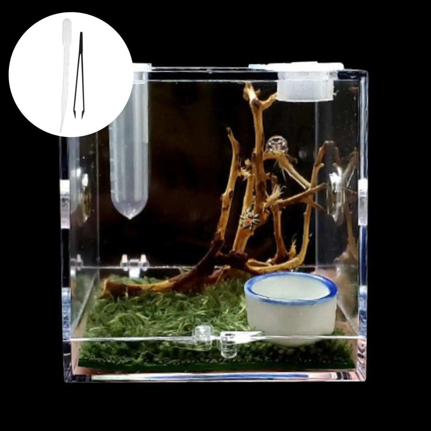 Small Reptile Feeding Box Transparent Acrylic Jumping Spider Breeding Box Habitat Small Insect Container Humidifier Feeding Box