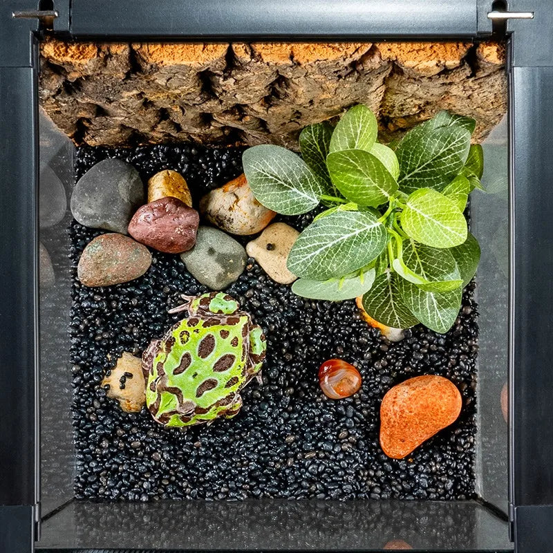 Climbing Pet Glass Tank,Lizard&Frog Habitat,Water Turtle&Hermit Crab Tank,Spider Enclosure for Reptiles,Horned Frog Breeding