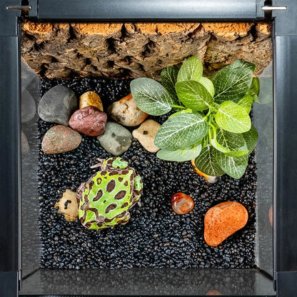 Climbing Pet Glass Tank,Lizard&Frog Habitat,Water Turtle&Hermit Crab Tank,Spider Enclosure for Reptiles,Horned Frog Breeding