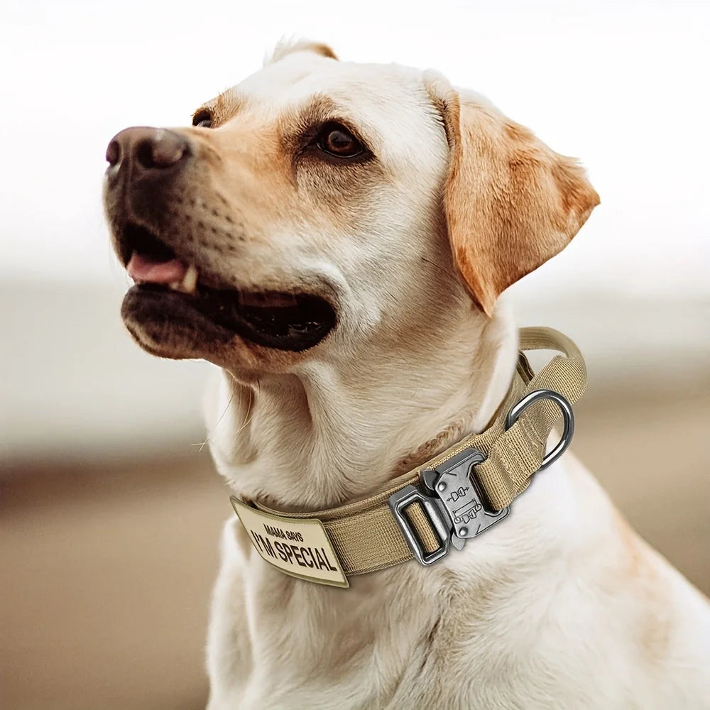 Heavy Duty Tactical Dog Collars with Handle Military Collar with Patch Outdoor Training and Walking for Medium and Large Dogs