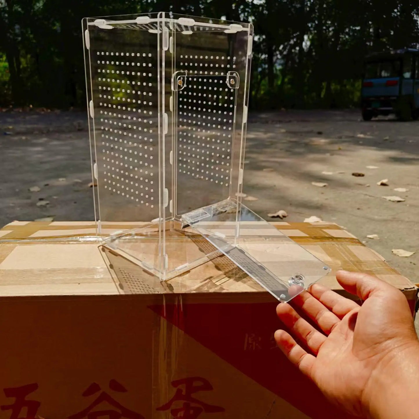 Spider Enclosure Mantis Acrylic Terrarium Spider Enclosure Ventilated Reptile Animal Cage for Breeding Observation Frog Lizard