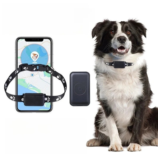 P03 Pet GPS Tracker RealTime Tracking Quadruple precise positioning App controlled for Dogs/Cats,Car, the elderly person Locator