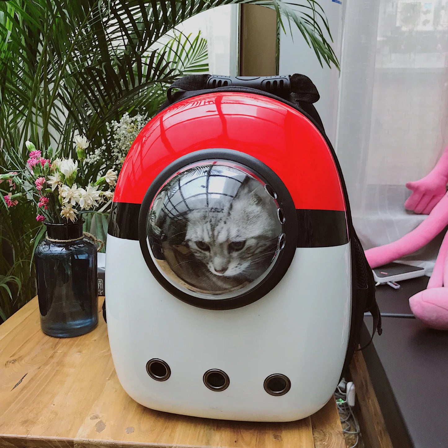 Shoulder Capsule Pet Bag, Go Out Portable Backpack, Cat Bag, Cat Supplies, Travel Bag, Carrier Space, Wholesale, New