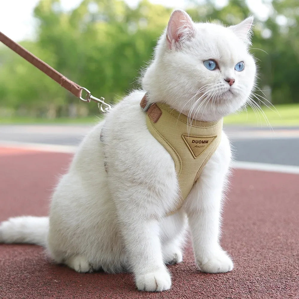 Pet Products for Cats Detachable Collar Pets Kittens Harness Accessories Goods Cute Kitten Animal Animals Stuff Dogs Tag Collars
