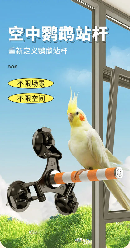 Multi-Functional Perch Stand for Birds with Bird Shower Perch Function Ideal Window Perch for Birds with Secure Suction Cup