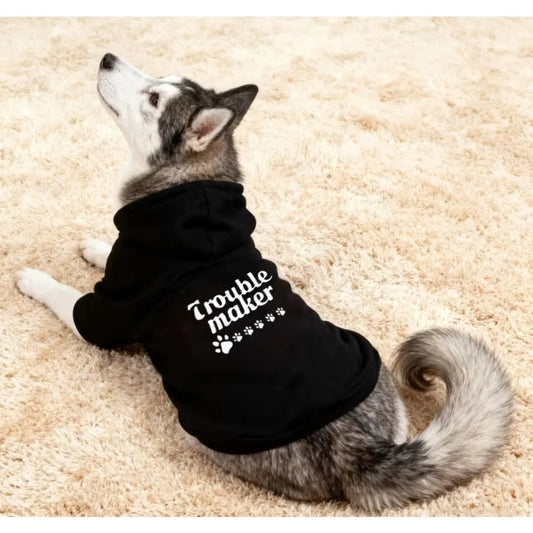 Cat and dog hoodie, letter hoodie, sports style pet clothing, preferred by mothers with sports style