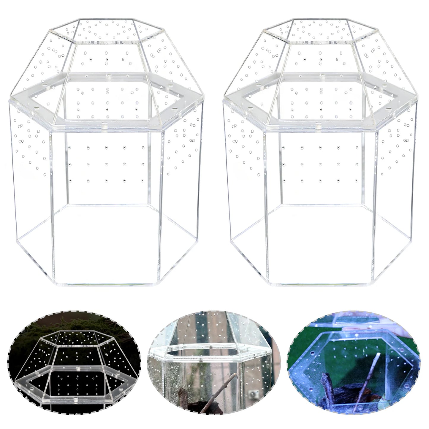 Jumping Spider Enclosure Acrylic Tortoise Enclosure Full Transparency Bug Terrarium for Spiders Tarantulas Snail Lizard Reptiles