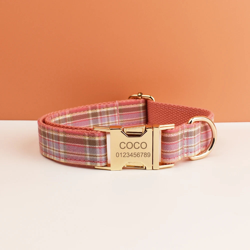 Luxury Dog Leash and Collar ，retractable walking collar for small and big pet .