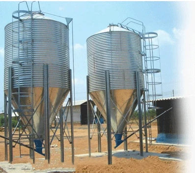 Chicken Feeding System In Broiler Coop Shed For Poultry Farm With Automatic Feeder And Drinker