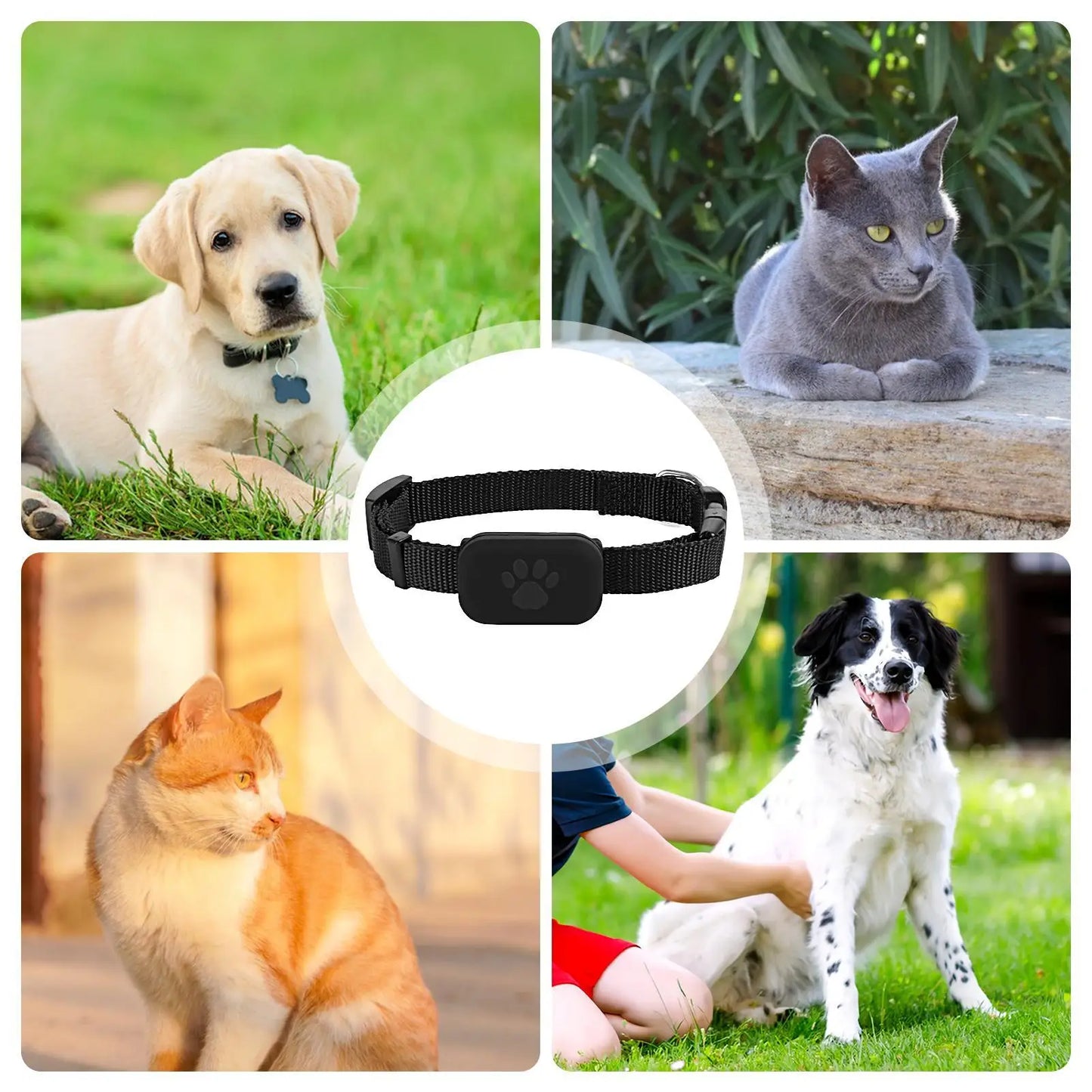 Cat Trackers GPS Cat Tracker Collar Pet Kitten GPS Collar Multifunctional Pet Smart GPS Trackers Pets Accessories IOS Compatible