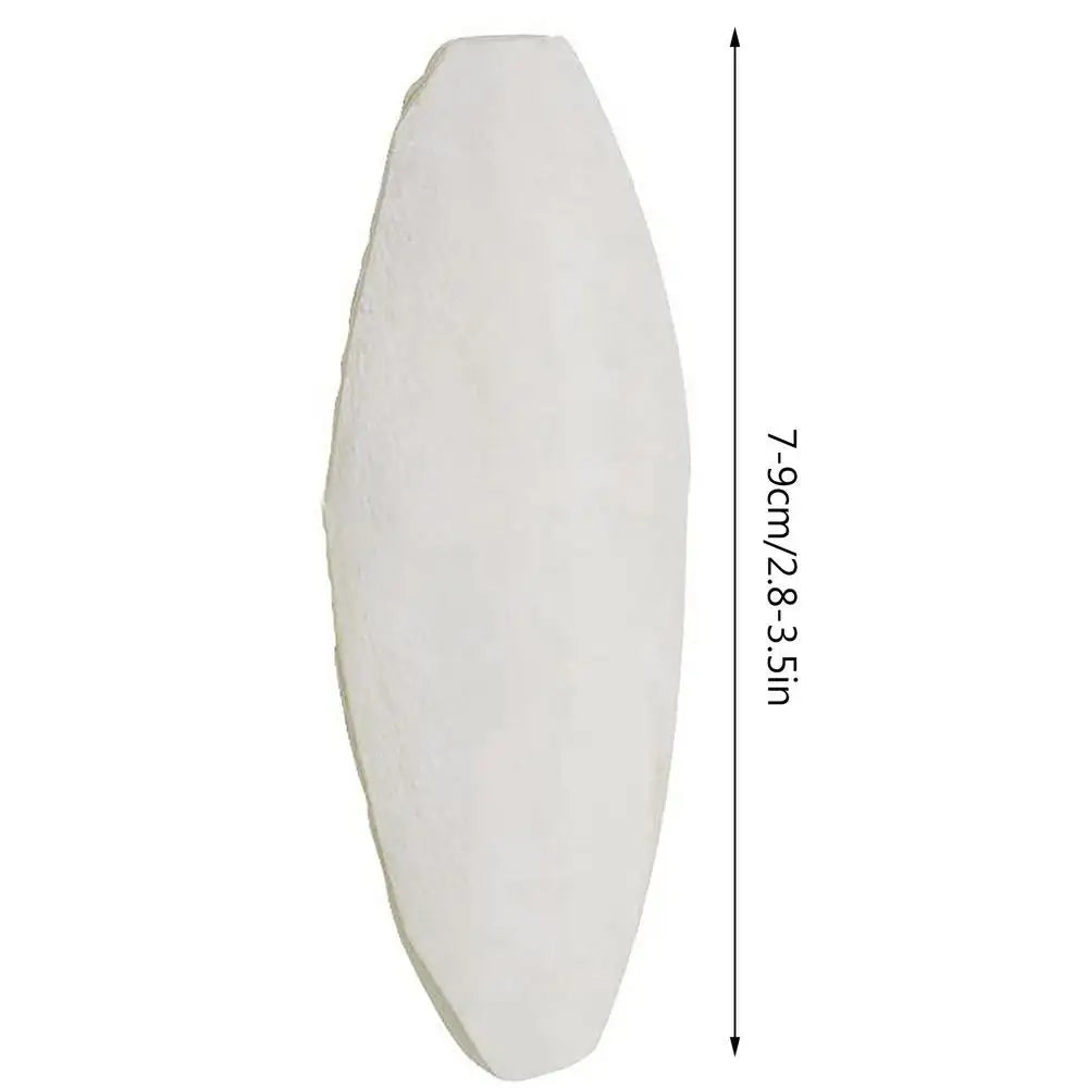 Bird Cuttlebone Toy 10pcs Chewing Cuttlefish Bone Natural Cuttlefish Bones Chew Toy for reptiles turtles turtles snails birds