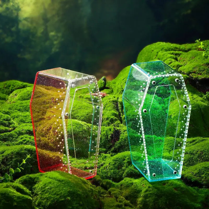 Acrylic Transparent Reptile Enclosure Insect Spider Lizard Feeding Cage Reptile Breeding Box Ventilation Arboreal Enclosure Case