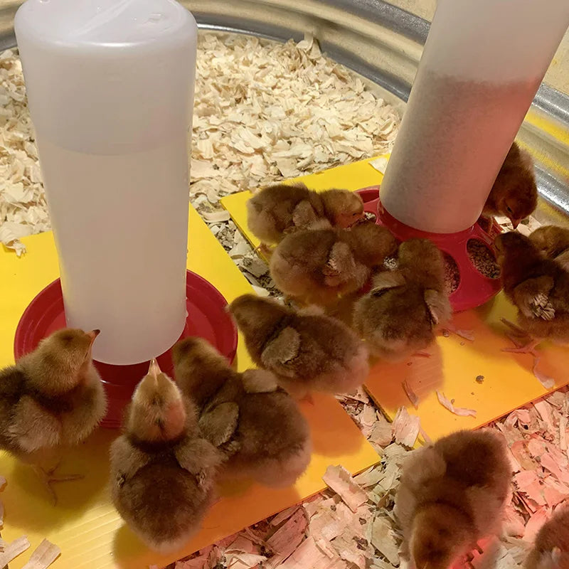 1L Poultry New Thickened Feeder and Drinker Chicken Feeder Bucket Automatic Water Food Dispenser Chick Drinker Feeding Bucket