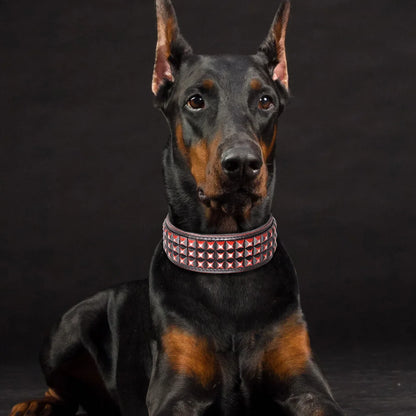 Luxurious Dog Real Leather Collar Cool Spiked Studded Pet Collars Jeweled Leather Dogs Collars Necklace For Pet Show Bulldog
