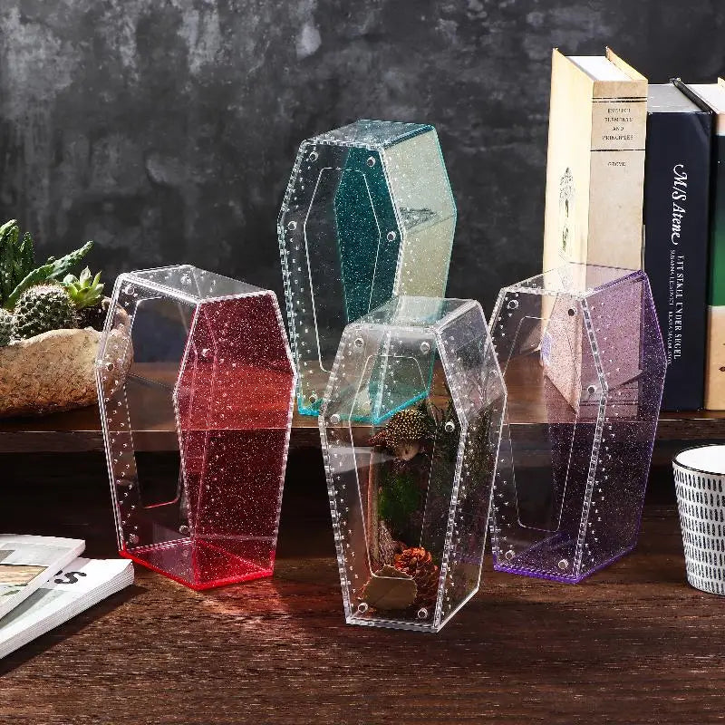 Transparent Acrylic Herpetarium; Spider, Insect, Lizard Breeding Habitat with Ventilation; Arboreal Reptile Housing Box