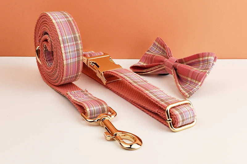 Luxury Dog Leash and Collar ，retractable walking collar for small and big pet .