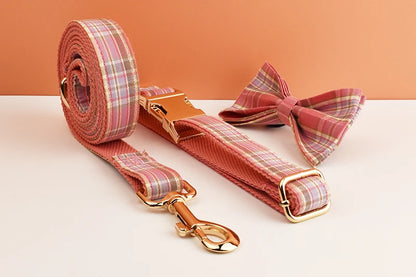Luxury Dog Leash and Collar ，retractable walking collar for small and big pet .