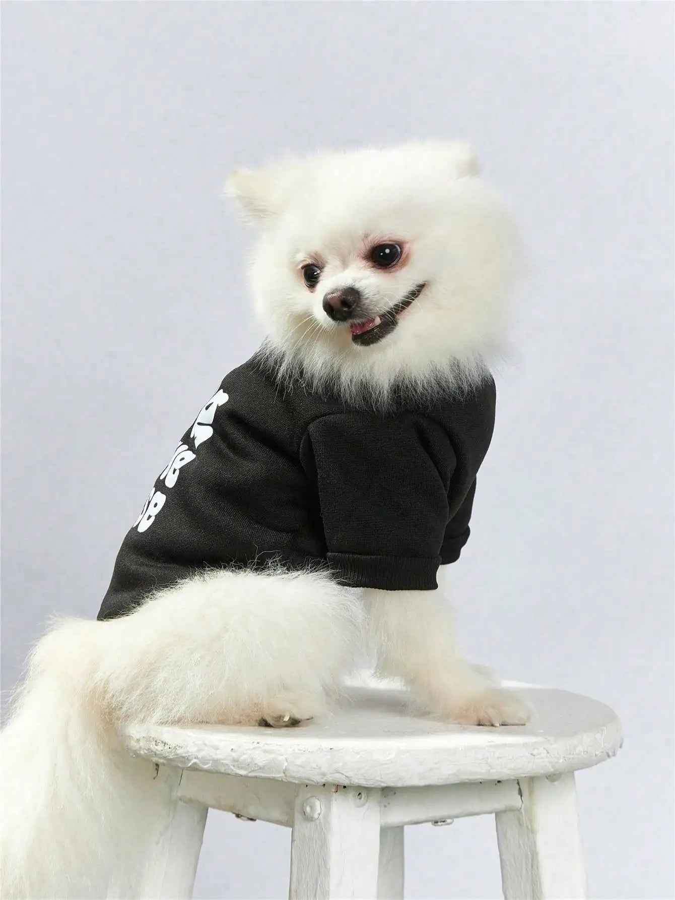 1pc Crown and letter printed black pet round neck sweatshirt, warm thick cat and dog round neck T-shirt