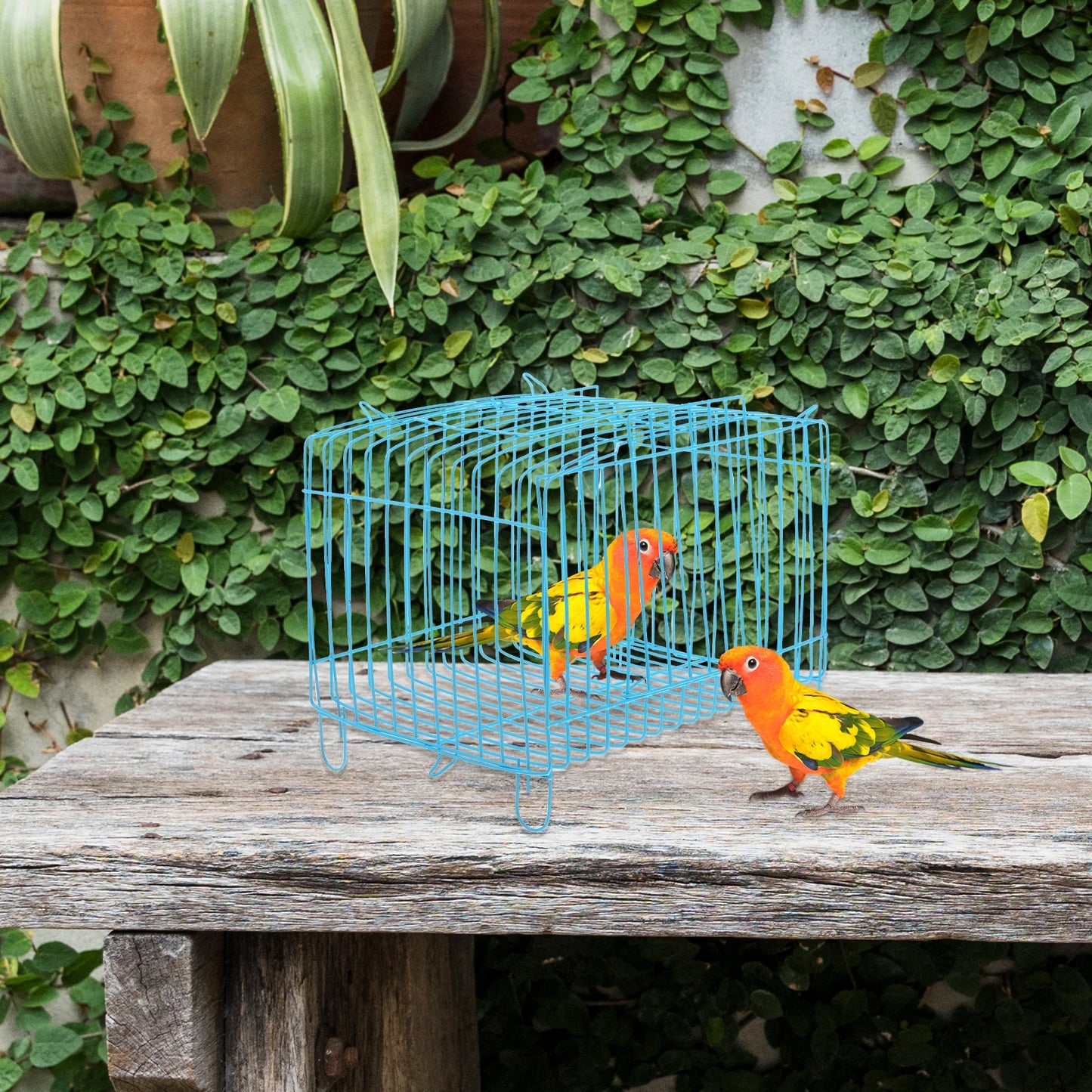 Portable Bird Cage Handcage Birds Carrying Cages For Parrots Bird Cage Bird Storage Cages Travel Outdoor Use Breathing Cages