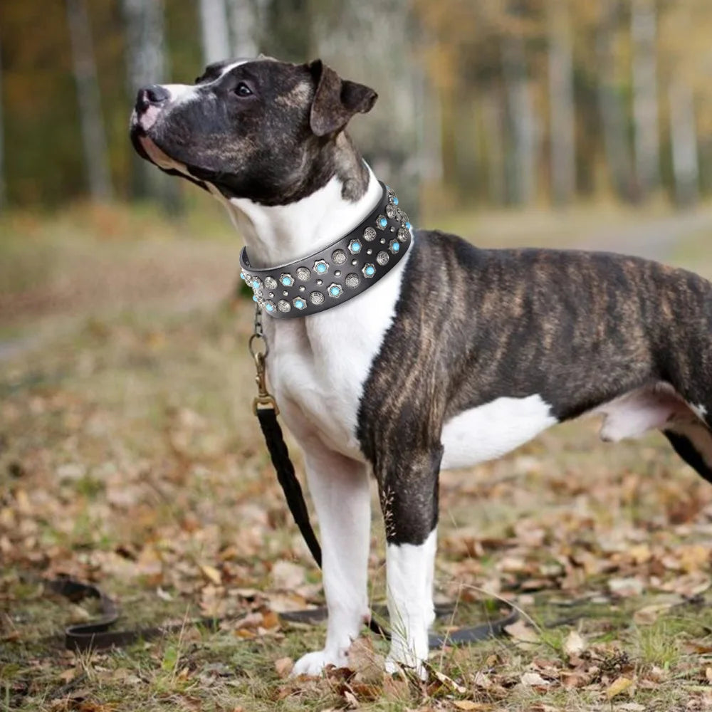 Luxurious Dog Real Leather Collar Cool Spiked Studded Pet Collars Jeweled Leather Dogs Collars Necklace For Pet Show Bulldog