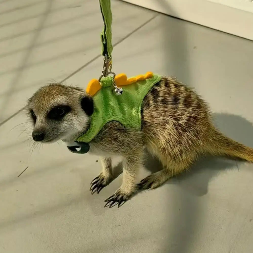Adjustable Ferret Drawstring Vest  With Bell Pet Outdoor Walking Rope Bunny Harness Harness Vest Dinosaur Design Pet Accessories