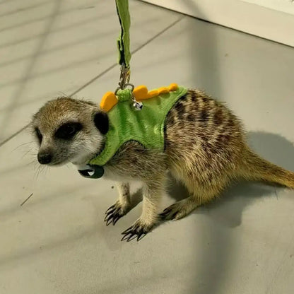 Adjustable Ferret Drawstring Vest  With Bell Pet Outdoor Walking Rope Bunny Harness Harness Vest Dinosaur Design Pet Accessories