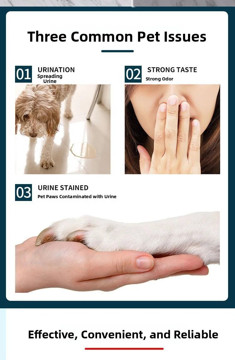 Pet Urinal Mat Dog Urine Pad Odor Elimir Pet Diaper Dog Training Pads  Teddy Disposable Training Pads Pet Supplies