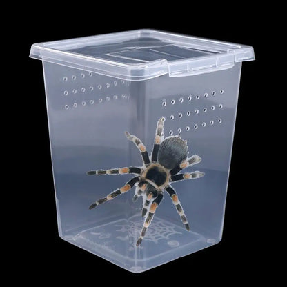 Reptile Accessories Transparent for Scorpion Spider Ants Lizard Living Box Hatching Tank Insect Feeding Box Reptile Habitat