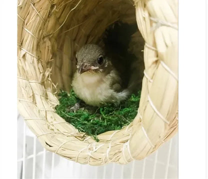 Handmade Straw Natural Bird Nest/Pigeon Bird House Parrot Nest Warm Pet Bedroom Courtyard Bird Cages Adornment