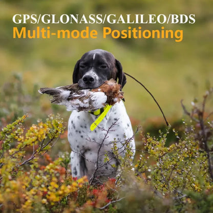 High end 4G hunting tracker dog tracking gps pet collar for pets（A tracking mon-itor + A locator collar）