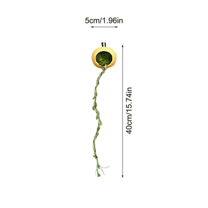 Jumping Spider Terrarium Hideouts With Extended Climbing Strip Magnetic Jumping Spider Habitat Hideaway House Accessories