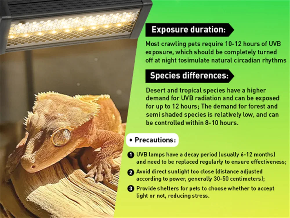 AC100-240V Dimmable LED Reptile UVB light 10W 6H/10H/12H  Timer Snake Turtle Pet Full Spectrum Basking UV Light Heating Lamp 20W