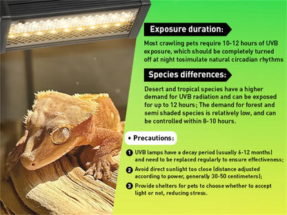 AC100-240V Dimmable LED Reptile UVB light 10W 6H/10H/12H  Timer Snake Turtle Pet Full Spectrum Basking UV Light Heating Lamp 20W