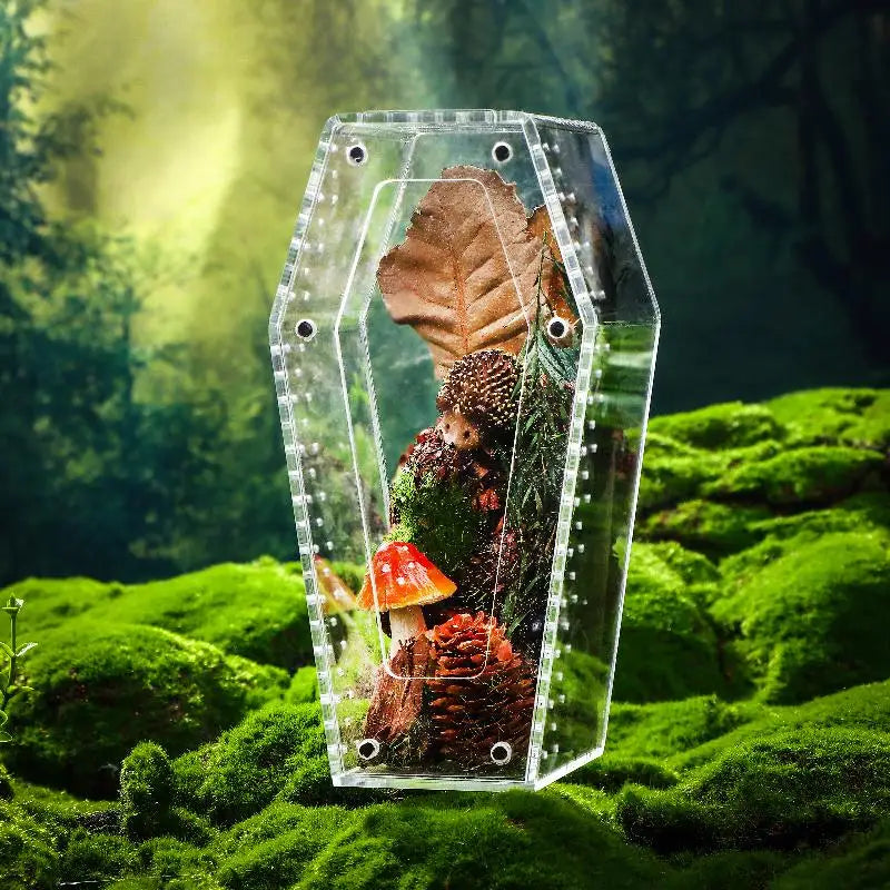 Acrylic Transparent Reptile Enclosure Insect Spider Lizard Feeding Cage Reptile Breeding Box Ventilation Arboreal Enclosure Case