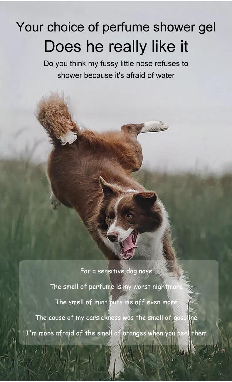 Pet Shampoo for Dogs Dry Skin amp Itch Relief Anti-flea Bath Wash Pet Shower Anti Ticks Cats Hair Care Cleaning Shower Gel Soap