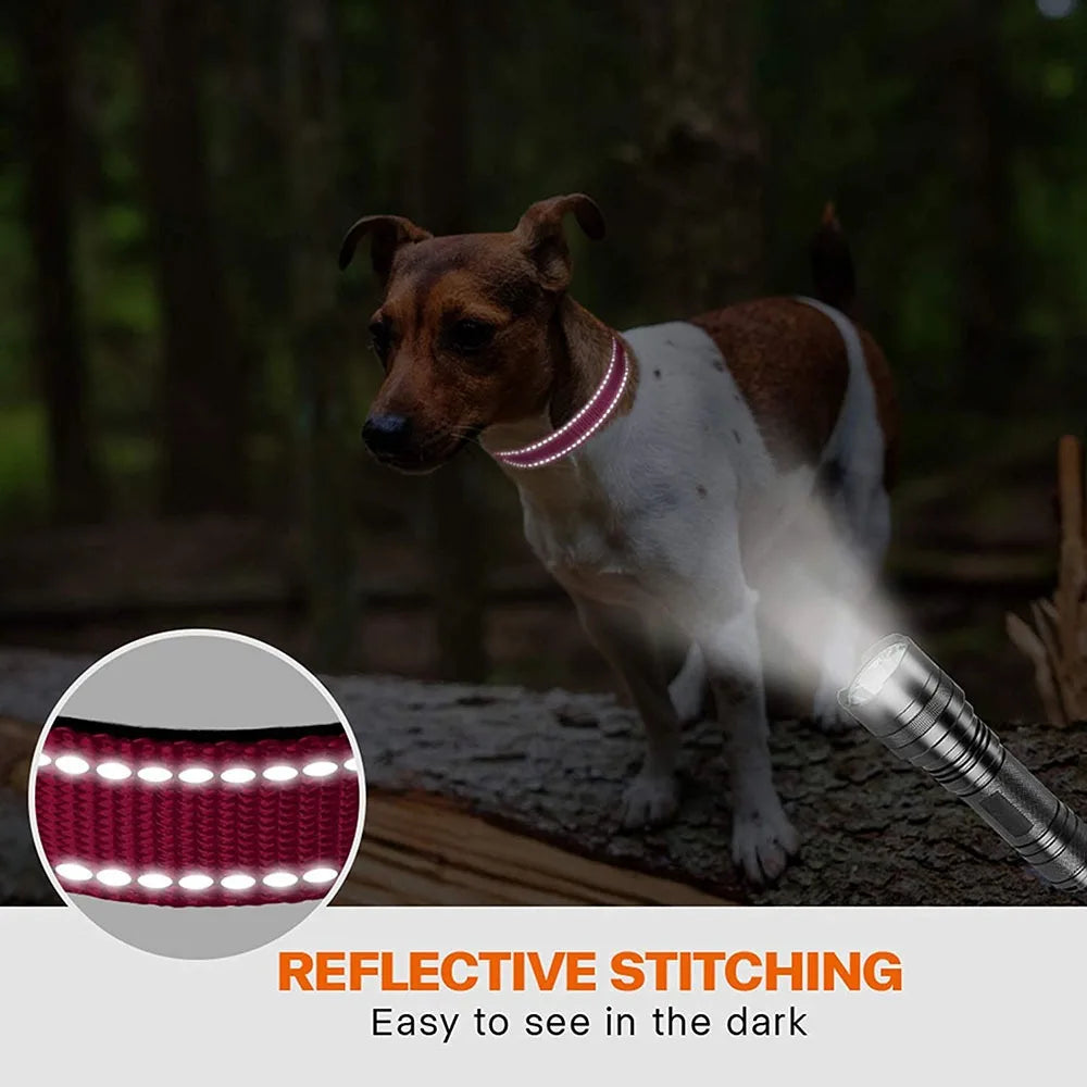 Reflective Padded Dog Collar Durable Strong Double D Ring Safety Nylon Pet Dog Collars Adjustable for Small Medium Large Dogs