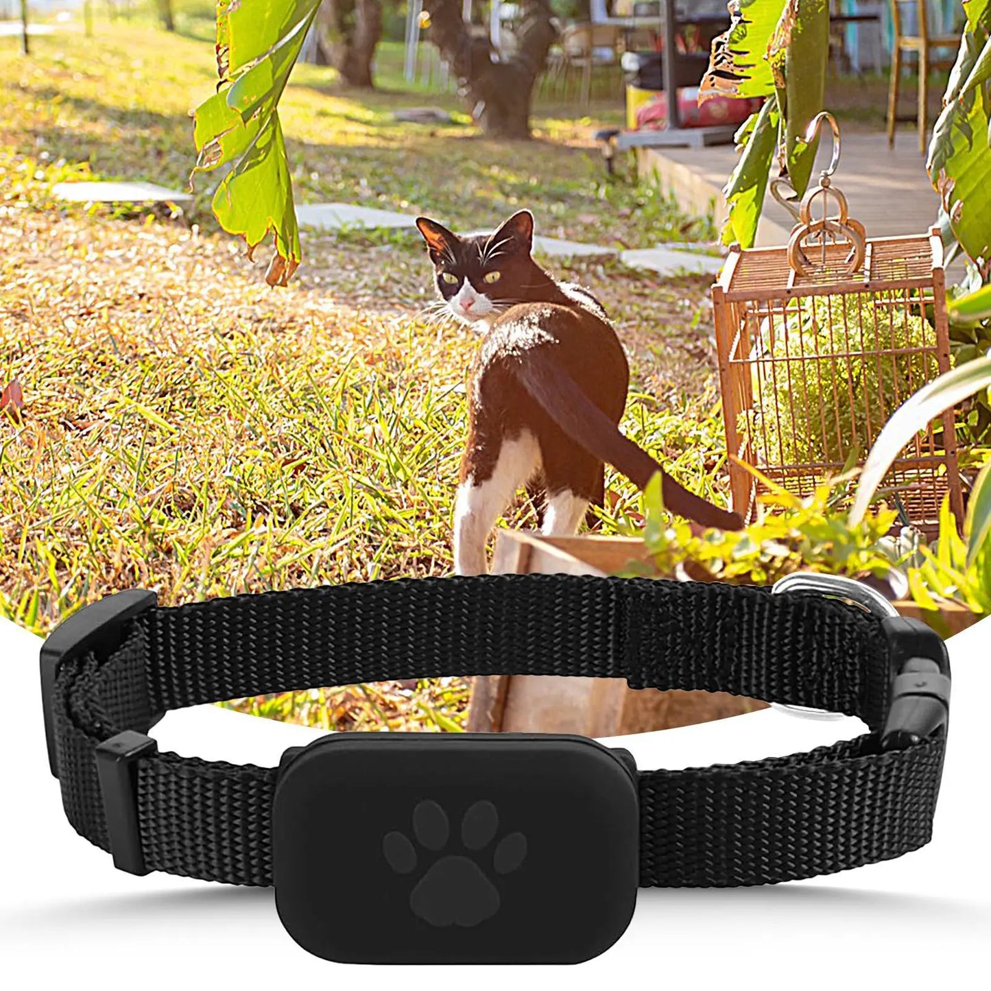 Cat Trackers GPS Cat Tracker Collar Pet Kitten GPS Collar Multifunctional Pet Smart GPS Trackers Pets Accessories IOS Compatible