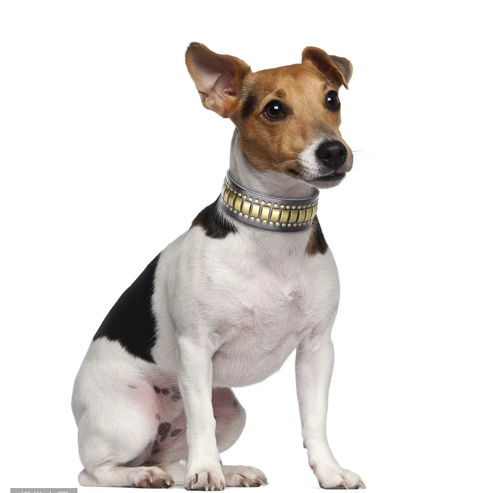 Luxurious Dog Real Leather Collar Cool Spiked Studded Pet Collars Jeweled Leather Dogs Collars Necklace For Pet Show Bulldog